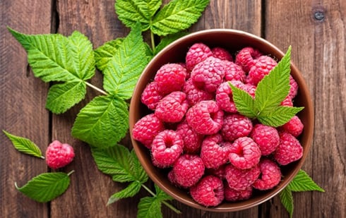 Illustration : "Peut-on donner des framboises à manger à son chien ?"