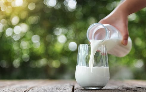 Illustration : "Peut-on donner du lait à boire à son chien ?"