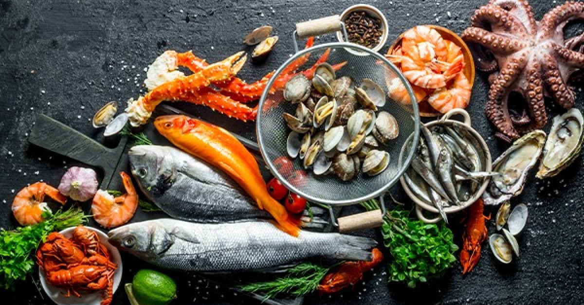 Donner Du Poisson A Son Chien Quels Sont Les Bienfaits