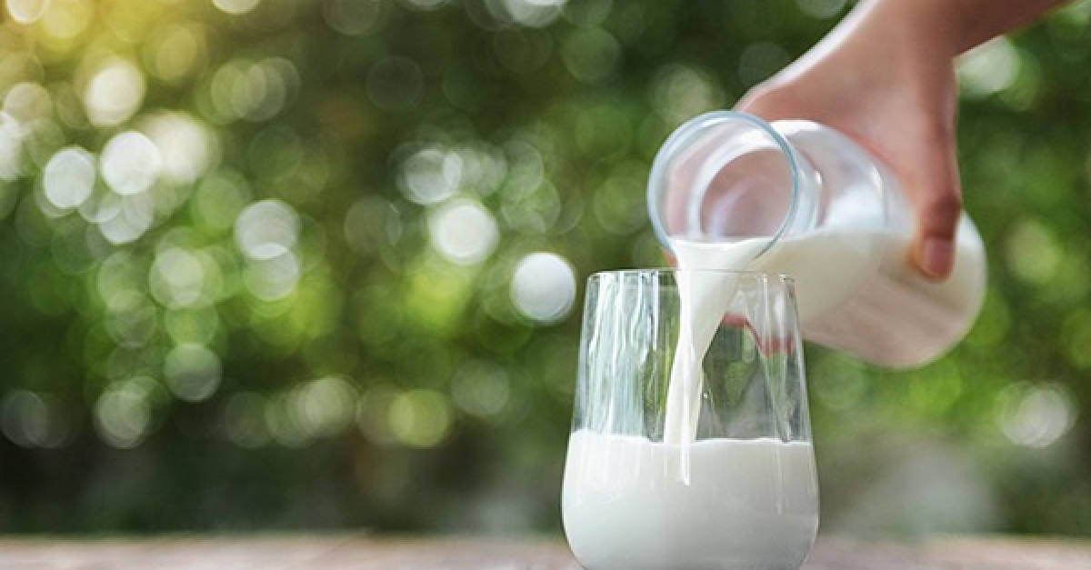 La consommation de lait est-elle recommandée pour votre chat ?