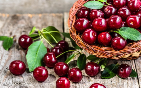 Illustration : "Peut-on donner des cerises à manger à son chat ? "