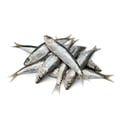 Illustration "Peut-on donner de la sardine à manger à son chien ?"