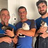 Illustration : &laquo; Nos chats respirent enfin &raquo; : une entreprise des Pyr&eacute;n&eacute;es Orientales offre et installe une climatisation pour les chats d&rsquo;un refuge qui souffraient de la chaleur