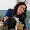 Illustration : Des chats sans foyer deviennent coll&egrave;gues de bureau dans un espace de coworking parisien