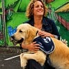 Illustration : Ce chien d&rsquo;assistance fait sa rentr&eacute;e au lyc&eacute;e apr&egrave;s avoir soutenu des &eacute;l&egrave;ves lors d&rsquo;&eacute;preuves du bac