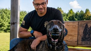 Illustration : Ce chien militaire à la retraite retrouve son ancien maître après un an et demi de séparation