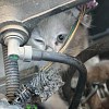 Illustration : Un chaton coinc&eacute; sous un capot est lib&eacute;r&eacute; gr&acirc;ce &agrave; des garagistes qui d&eacute;montent plusieurs &eacute;l&eacute;ments du moteur