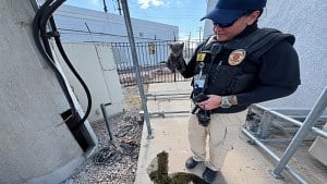 Illustration : Un chaton coinc&eacute; &agrave; 6 m&egrave;tres de profondeur est sauv&eacute; gr&acirc;ce &agrave; une corde descendue par un agent animalier