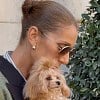 Illustration : C&eacute;line Dion pr&eacute;sente &agrave; ses fans sa petite chienne Madison, blottie dans ses bras devant son h&ocirc;tel parisien (vid&eacute;o)