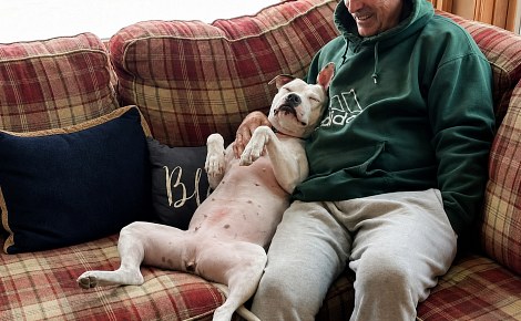 Cette chienne abandonnée devant un refuge est adoptée par la famille qui l’accueillait temporairement
