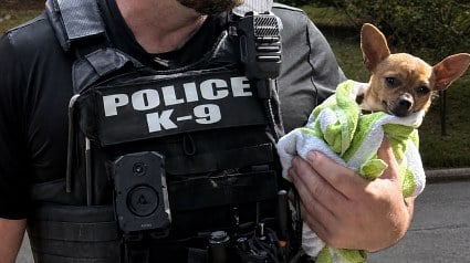 Illustration : Un policier d&eacute;couvre un chien vol&eacute; et asperg&eacute; de Javel, puis le rince avec sa propre r&eacute;serve d&rsquo;eau