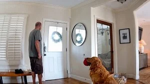 Illustration : Un couple découvre un intrus chez lui grâce à ses caméras, mais son chien lui apporte son jouet
