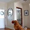 Illustration : Un couple d&eacute;couvre un intrus chez lui gr&acirc;ce &agrave; ses cam&eacute;ras, mais son chien lui apporte son jouet
