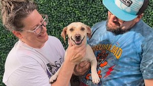 Illustration : Ce chien poursuivi sur le tarmac d’un aéroport n’a pas été réclamé, mais un couple l’a adopté
