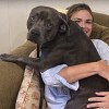 Illustration : Un gar&ccedil;on de 6 ans refuse de laisser un chien &agrave; la station-service, ses parents lui offrent un foyer