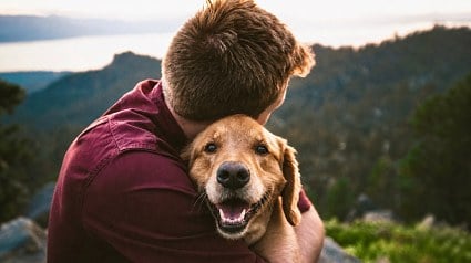 Illustration : Une &eacute;tude associe la sociabilit&eacute; des chiens envers les humains &agrave; certaines variations de leur ADN