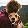 Illustration : Une &eacute;tude associe la sociabilit&eacute; des chiens envers les humains &agrave; certaines variations de leur ADN