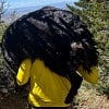 Illustration : Un chien de pr&egrave;s de 60 kg ne peut plus avancer en montagne, les secouristes se relaient pour le porter