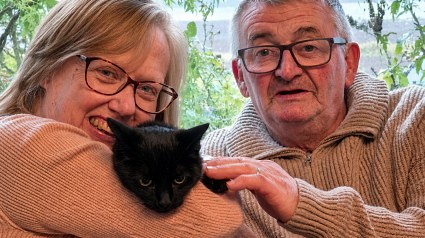 Illustration : 6 ans apr&egrave;s un accident de voiture, elle apprend le jour de ses 62 ans que sa chatte disparue est en vie