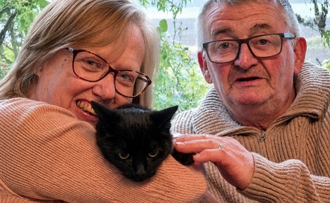 6 ans après un accident de voiture, elle apprend le jour de ses 62 ans que sa chatte disparue est en vie