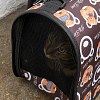 Illustration : Une personne en cours d&rsquo;expulsion du pays d&eacute;pose sa chatte devant un refuge avec un mot sur ses besoins