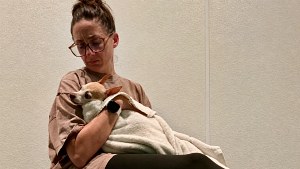 Illustration : Cette chienne de 9 ans peinait à tenir debout au refuge, une bénévole lui offre un foyer temporaire