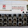 Illustration : 51 chats n&eacute;glig&eacute;s dans deux logements insalubres sont pris en charge en une journ&eacute;e par la Fondation 30 Millions d&rsquo;Amis