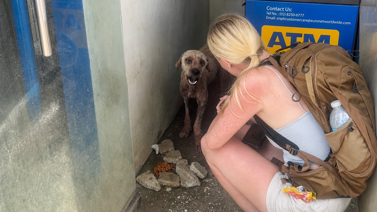 Illustration : "Ils pensaient simplement retirer de l’argent au distributeur, mais repartent avec un chien (vidéo)"