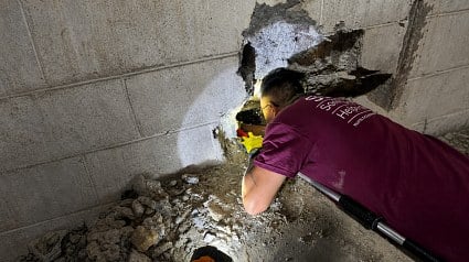 Illustration : Des employ&eacute;s entendent un chien g&eacute;mir pendant des jours avant qu&rsquo;il soit retrouv&eacute; coinc&eacute; dans une canalisation