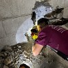 Illustration : Des employ&eacute;s entendent un chien g&eacute;mir pendant des jours avant qu&rsquo;il soit retrouv&eacute; coinc&eacute; dans une canalisation