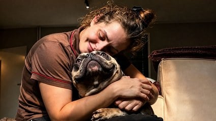 Illustration : &laquo; Il avait peur des mains, mais voulait tellement &ecirc;tre aim&eacute; &raquo; : sauv&eacute; de l'enfer, ce chien r&eacute;apprend la tendresse (vid&eacute;o)