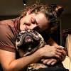 Illustration : &laquo; Il avait peur des mains, mais voulait tellement &ecirc;tre aim&eacute; &raquo; : sauv&eacute; de l'enfer, ce chien r&eacute;apprend la tendresse (vid&eacute;o)
