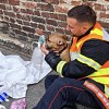Illustration : Un chat et 2 chiens sont sauv&eacute;s des fum&eacute;es, puis soign&eacute;s sur le trottoir par les pompiers de Saint-Quentin (02)