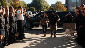 Illustration : Escorté par les motards de la police, ce Labrador des pompiers effectue son dernier trajet vers la clinique vétérinaire