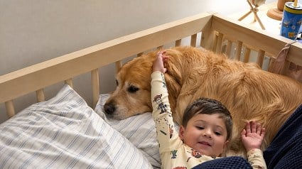 Illustration : Un petit gar&ccedil;on choisit son chien plut&ocirc;t qu&rsquo;une peluche, puis lui raconte sa journ&eacute;e pendant 10 minutes (vid&eacute;o)