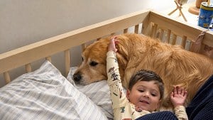Illustration : Un petit garçon choisit son chien plutôt qu’une peluche, puis lui raconte sa journée pendant 10 minutes (vidéo)