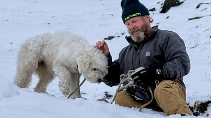 Illustration : Une chienne disparue apr&egrave;s une avalanche est retrouv&eacute;e vivante environ 50 heures plus tard gr&acirc;ce &agrave; son AirTag