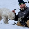 Illustration : Une chienne disparue apr&egrave;s une avalanche est retrouv&eacute;e vivante environ 50 heures plus tard gr&acirc;ce &agrave; son AirTag