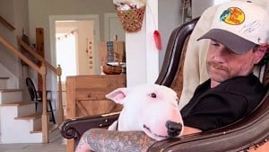 Illustration : Un homme recueille le chien de son meilleur ami décédé et lui offre une nouvelle vie à la ferme