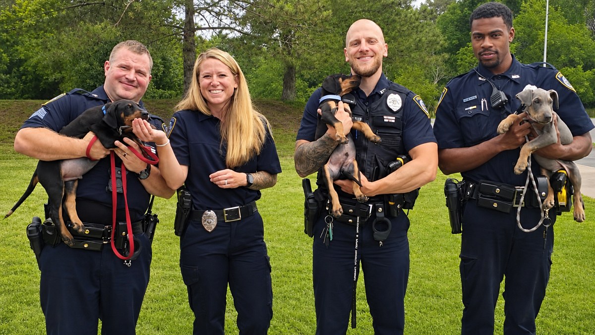 Illustration : "Des policiers posent en uniforme avec les 3 chiots qu’ils ont adoptés après une enquête pour négligence"