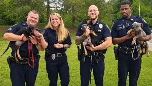 Illustration : Des policiers posent en uniforme avec les 3 chiots qu’ils ont adoptés après une enquête pour négligence