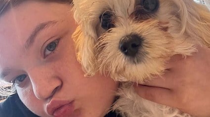 Illustration : &laquo; Bonnie illumine sa vie [&hellip;] &raquo; : une cagnotte cr&eacute;&eacute;e pour cette chienne bless&eacute;e qui soutient une adolescente malade
