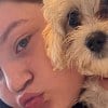 Illustration : &laquo; Bonnie illumine sa vie [&hellip;] &raquo; : une cagnotte cr&eacute;&eacute;e pour cette chienne bless&eacute;e qui soutient une adolescente malade