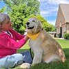 Illustration : &laquo; Skye sait &raquo; : cette femme atteinte d'Alzheimer ne se perd jamais gr&acirc;ce &agrave; sa Golden Retriever sauv&eacute;e d'une usine &agrave; chiots