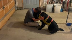 Illustration : « Il était comme un fantôme. Il avait disparu » : leur chien récemment adopté reste introuvable en montagne pendant 29 jours