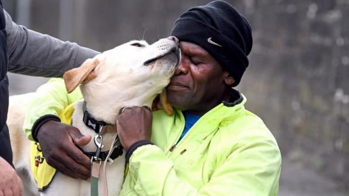 Illustration : "« Il veille toujours sur moi » : atteint de démence, Brian reprend confiance dans ses sorties grâce à son Labrador (vidéo)"