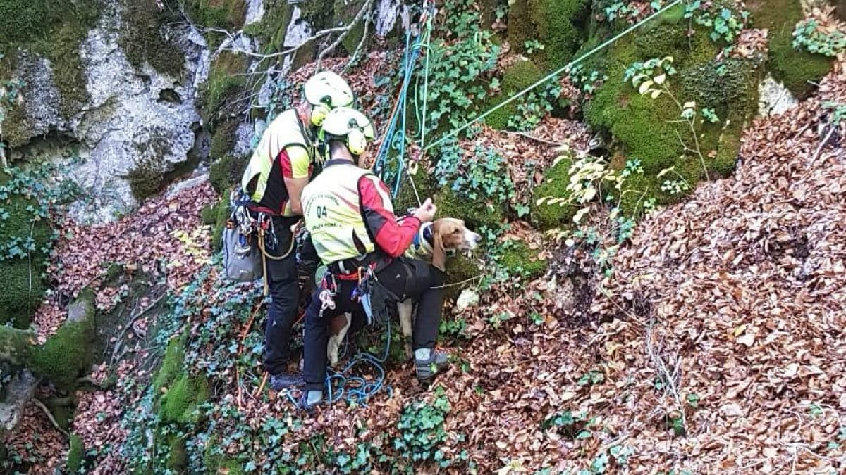 Illustration : "Un chien bloqué 30 mètres sous terre, les pompiers des Alpes-de-Haute-Provence déploient des cordes pour le sortir"