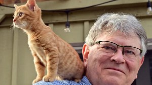 Illustration : Un professeur veut embarquer un chaton, mais n'a pas de caisse et l'aéroport n'en a plus