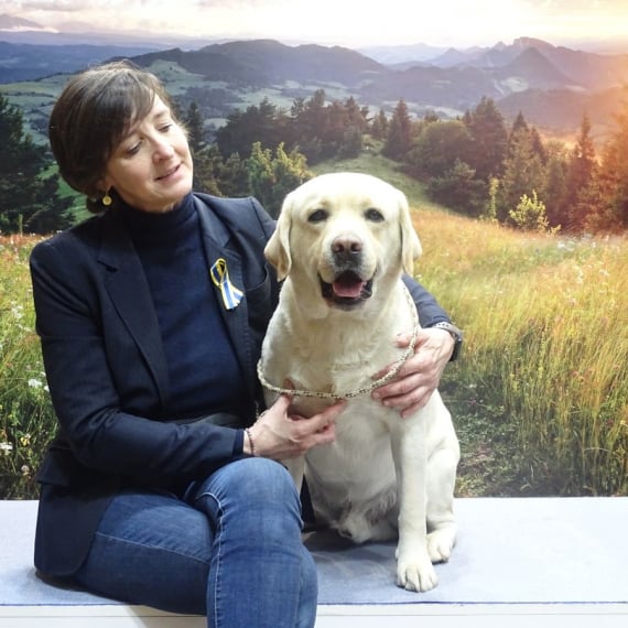 Photo de Labradors de l'Etang Balancet