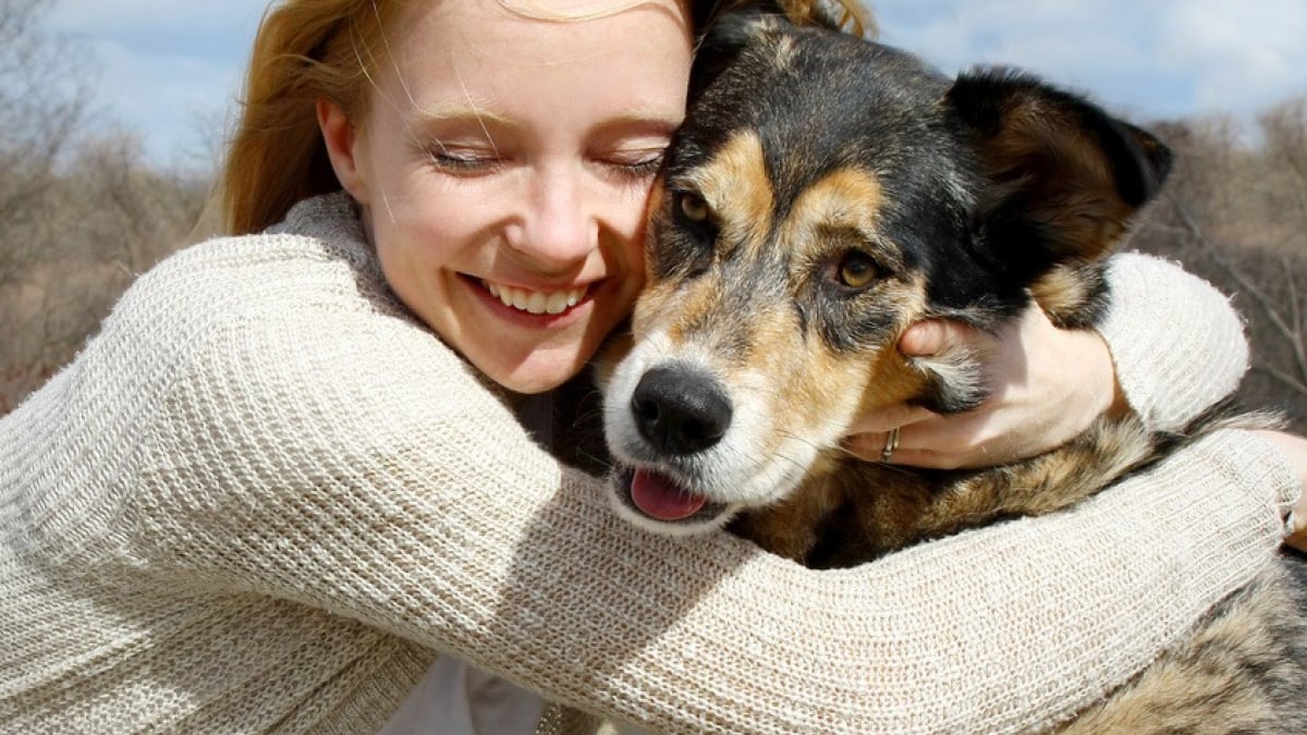 Illustration : "Adopter un chien auprès d'un particulier"